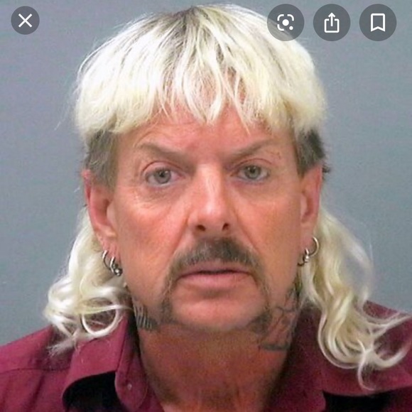 Steal of a life time. Click click click - Picture 2 of 4